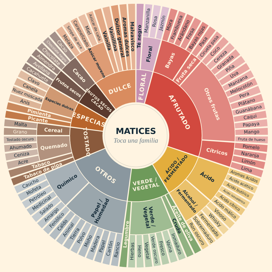 Rueda de matices del café: dulce, afrutado, floral, ácido, tostado, especias y más